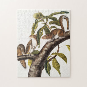 Carolina Grey Squirrel (Sciurus Carolinensis) Jigsaw Puzzle