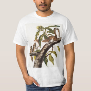 Carolina Grey Squirrel (Sciurus Carolinensis) T-Shirt
