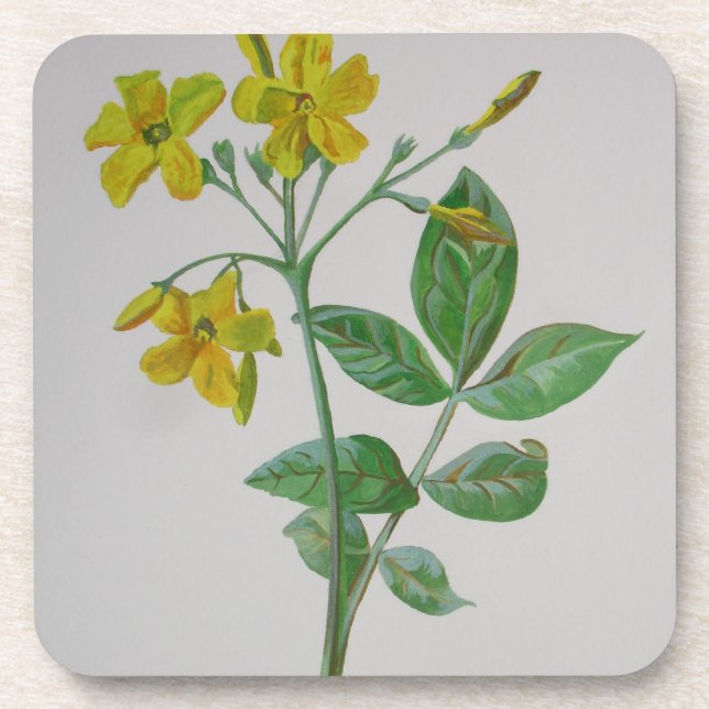Carolina Jasmine Botanical Art Coaster (Front)