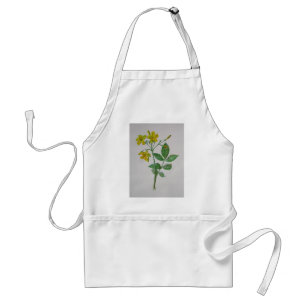 Carolina Jasmine Botanical Art Standard Apron