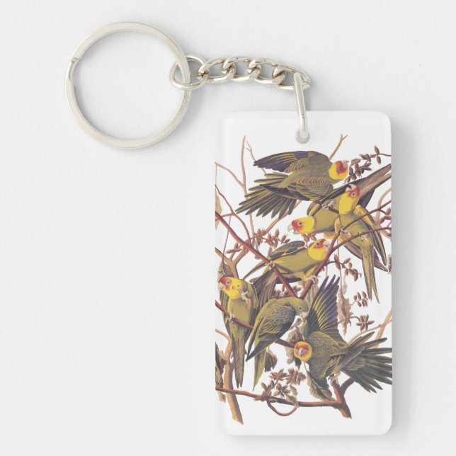 Carolina Parakeet Acrylic Keychain (Front)