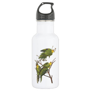 Carolina Parakeet by Audubon 532 Ml Water Bottle