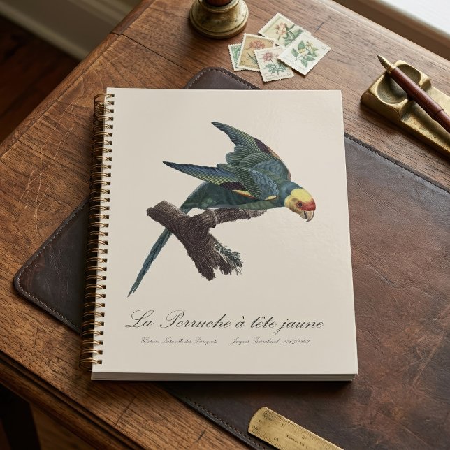 Carolina parakeet, Conuropsis carolinensis Planner (Carolina parakeet, Conuropsis carolinensis. Planner)