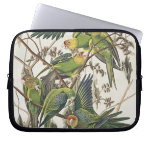 Carolina Parakeet, from 'Birds of America', 1829 Laptop Sleeve