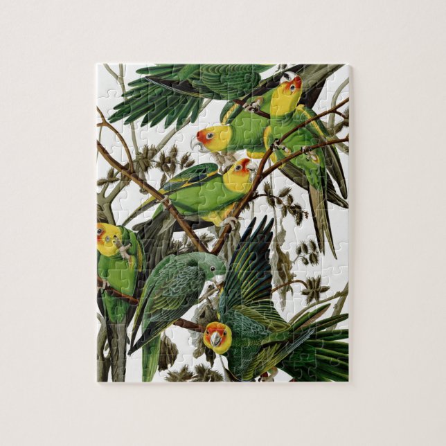 Carolina Parakeet Jigsaw Puzzle (Vertical)