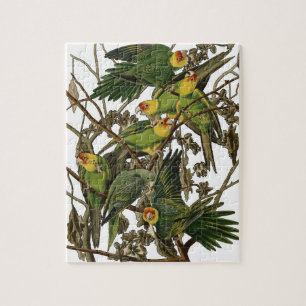 Carolina Parrot Audubon Print Art Jigsaw Puzzle