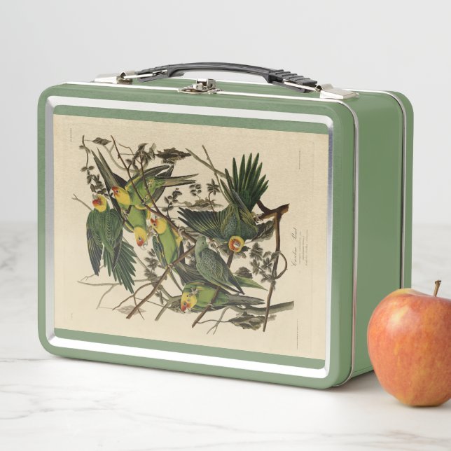 Carolina Parrot from Audubon's Birds of America Metal Lunch Box (In Situ)