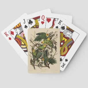 Carolina Parrot from Audubon's Birds of America Playing Cards