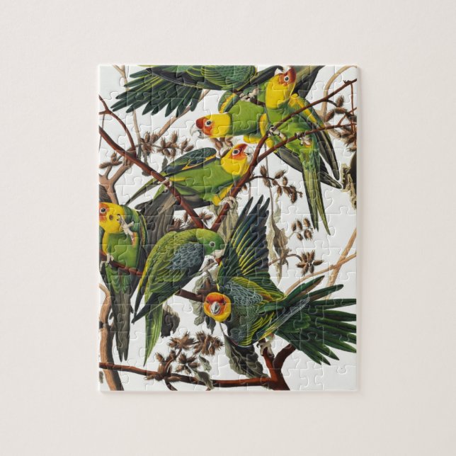 Carolina Parrot - John James Audubon (1827-1838) Jigsaw Puzzle (Vertical)
