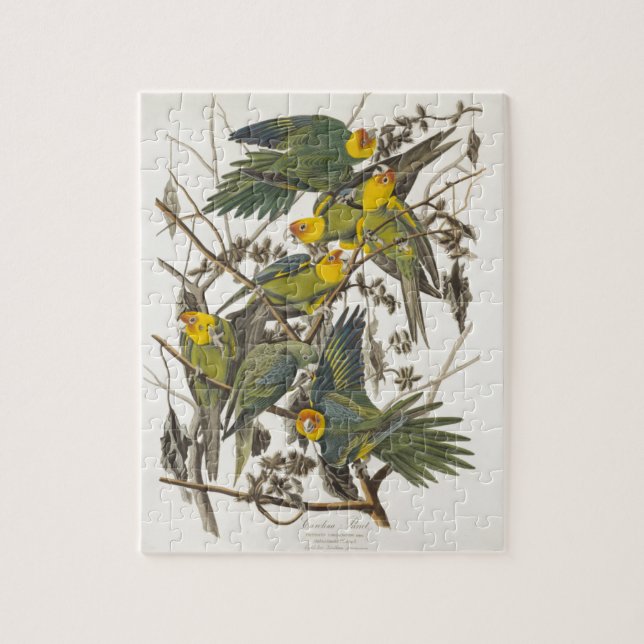 Carolina Parrot - John James Audubon (1827-1838) Jigsaw Puzzle (Vertical)