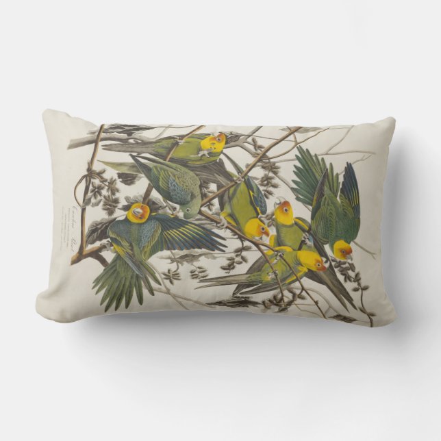 Carolina Parrot - John James Audubon (1827-1838) Lumbar Cushion (Front)
