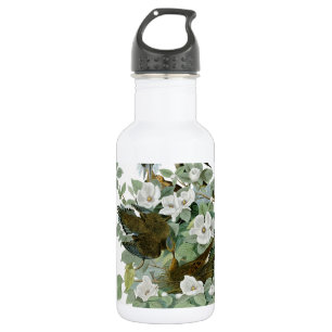 Carolina Pigeon Audubon Morning Dove Bird 532 Ml Water Bottle