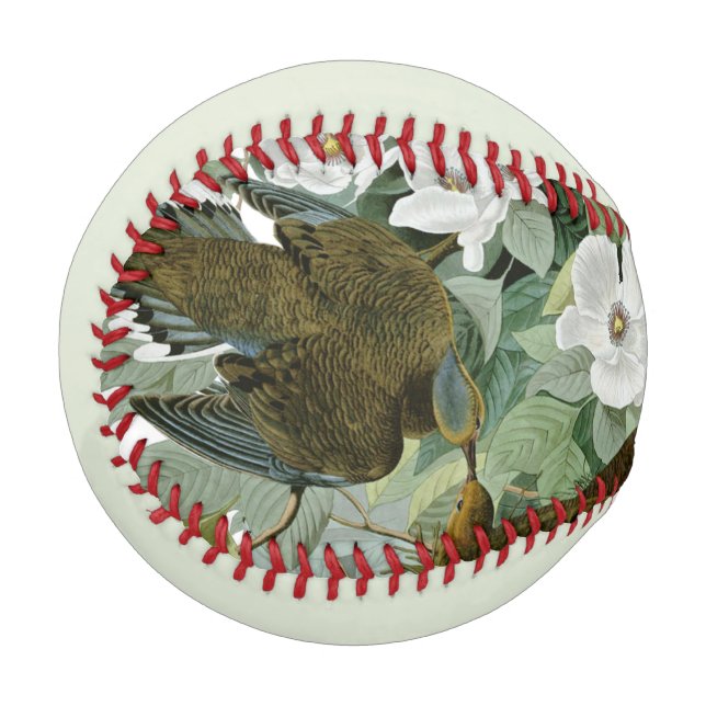 Carolina Pigeon Audubon Morning Dove Bird Baseball (Front Left)