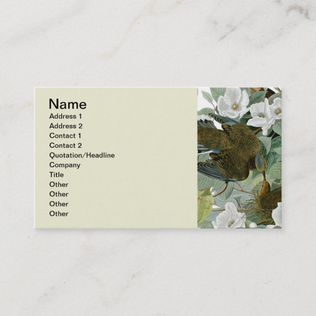 Carolina Pigeon Audubon Morning Dove Bird Business Card (Front)