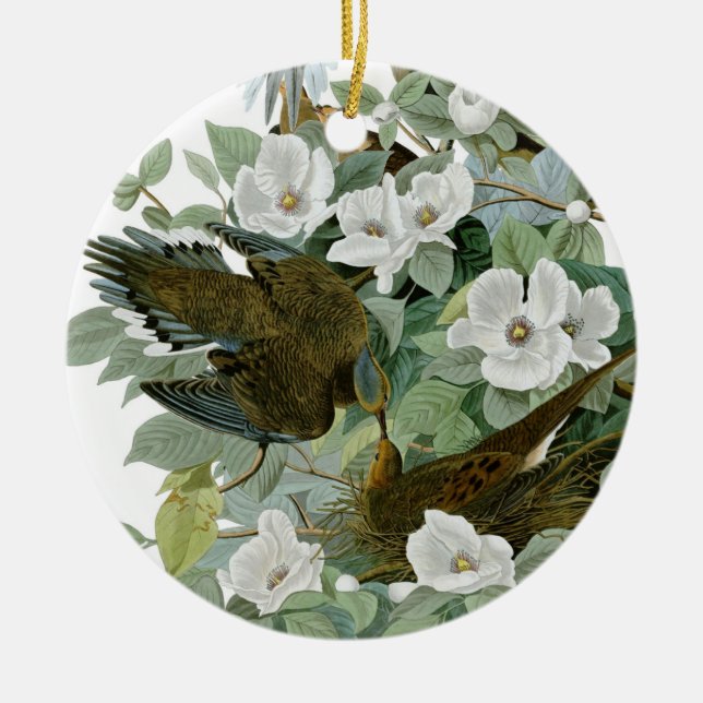 Carolina Pigeon Audubon Morning Dove Bird Ceramic Ornament (Front)