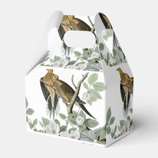 Carolina Pigeon Audubon Morning Dove Bird Favour Box (Front Side)