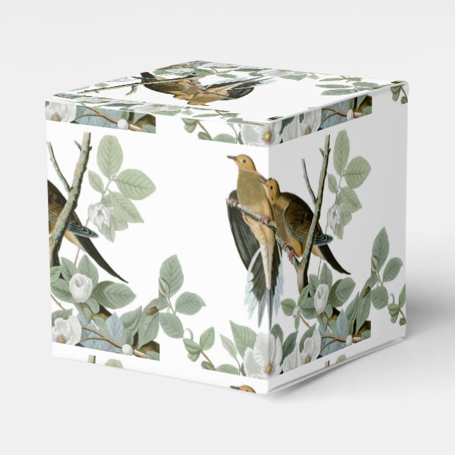 Carolina Pigeon Audubon Morning Dove Bird Favour Box (Front Side)