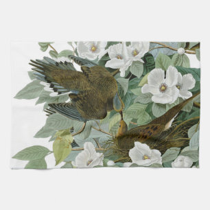 Carolina Pigeon Audubon Morning Dove Bird Tea Towel
