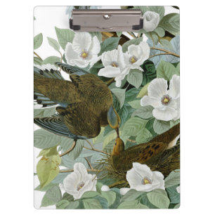 Carolina Pigeon Audubon Morning Dove Clipboard