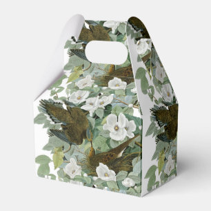 Carolina Pigeon Audubon Morning Dove Favour Box