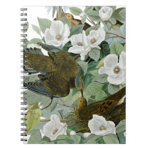 Carolina Pigeon Audubon Morning Dove Notebook