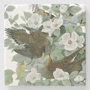 Carolina Pigeon Audubon Morning Dove Stone Coaster