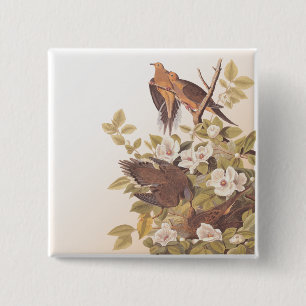 Carolina Pigeon or Mourning Dove 15 Cm Square Badge