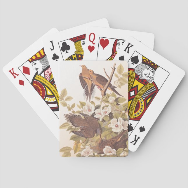 Carolina Pigeon or Mourning Dove Playing Cards (Back)