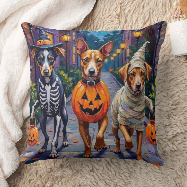 Carolina Trick-or-Treating in Halloween Costume Cushion (Blanket)