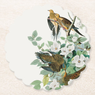 Carolina Turtle Dove, Birds of America by John Jam Paper Coaster