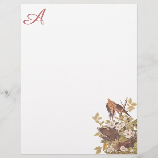 Carolina Turtle Dove Custom Letterhead (Front)