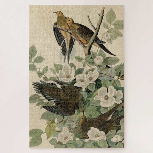 Carolina Turtle Dove Mourning Dove Audubon's Birds Jigsaw Puzzle (Vertical)