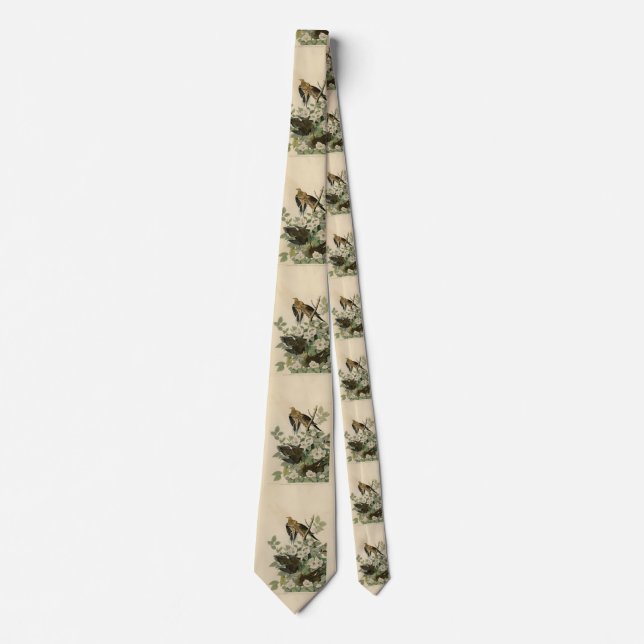 Carolina Turtle Dove Mourning Dove Audubon's Birds Tie (Front)