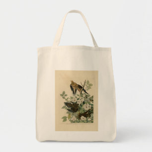 Carolina Turtle Dove Mourning Dove Audubon's Birds Tote Bag