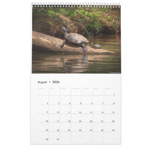 Carolina Wildlife Calendar 2025