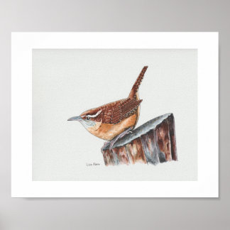 Carolina Wren Art Print