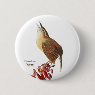 Carolina Wren, Audubon, Birder Birdwatcher, Bird 6 Cm Round Badge