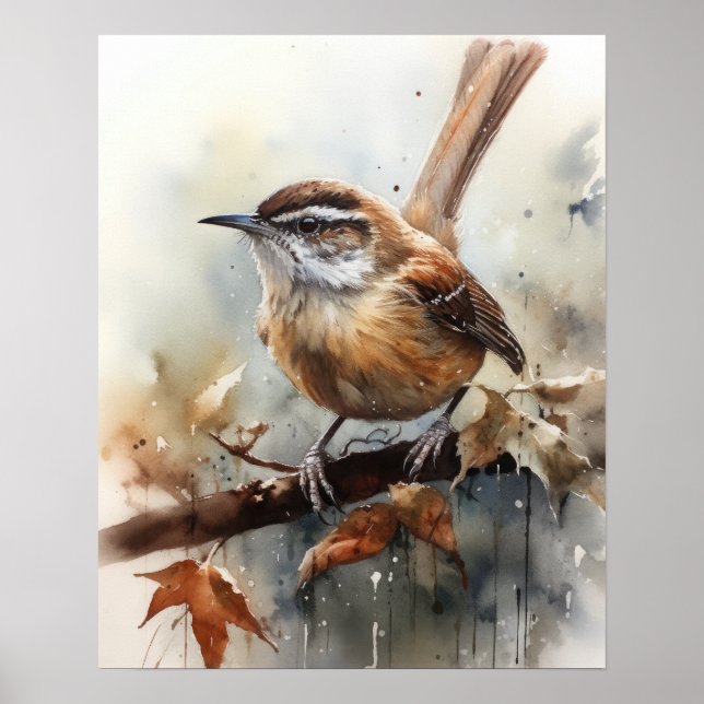 Carolina Wren Bird Art Print Poster (Front)