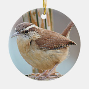 Carolina wren ceramic tree decoration