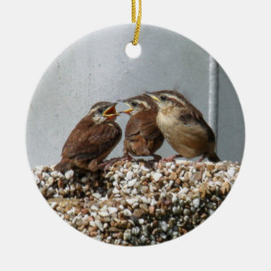 Carolina Wren Ceramic Tree Decoration