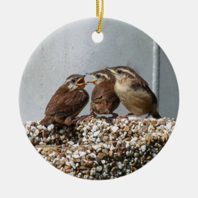 Carolina Wren Ceramic Tree Decoration (Front)