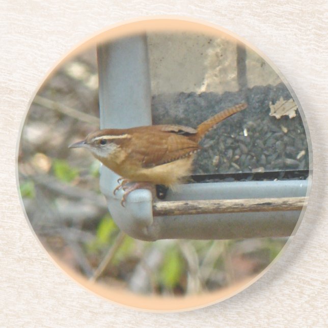 Carolina Wren Coaster (Front)