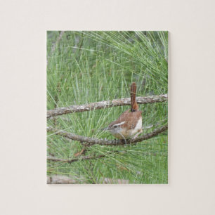 Carolina Wren in Pine Tree Jigsaw Puzzle