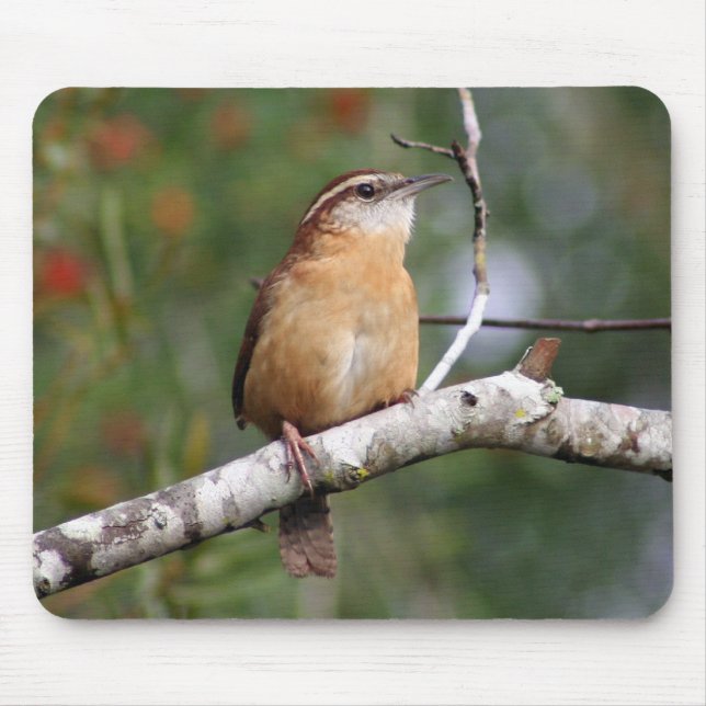Carolina Wren Mouse Pad (Front)