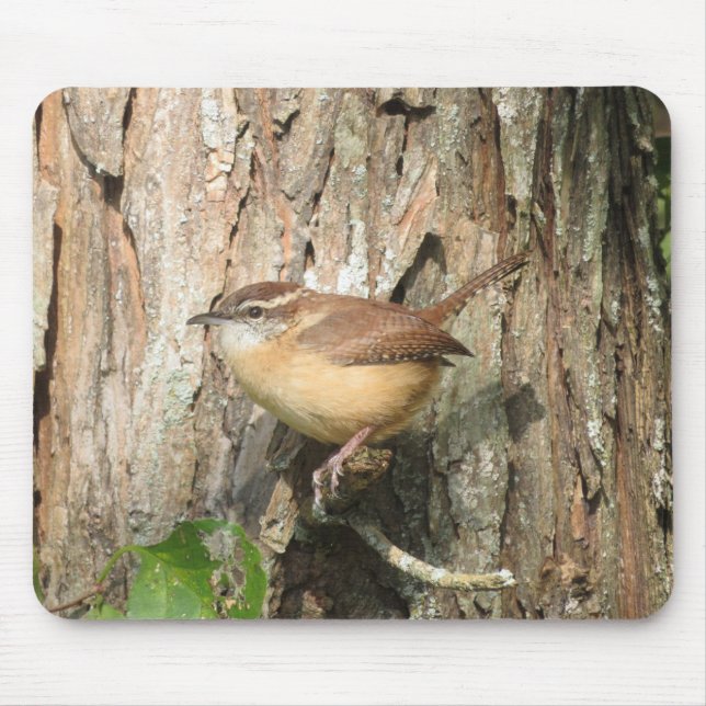 Carolina Wren Mouse Pad (Front)