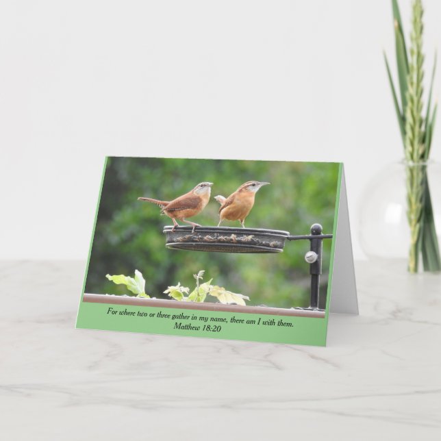 Carolina Wren Pair Blank Card (Front)