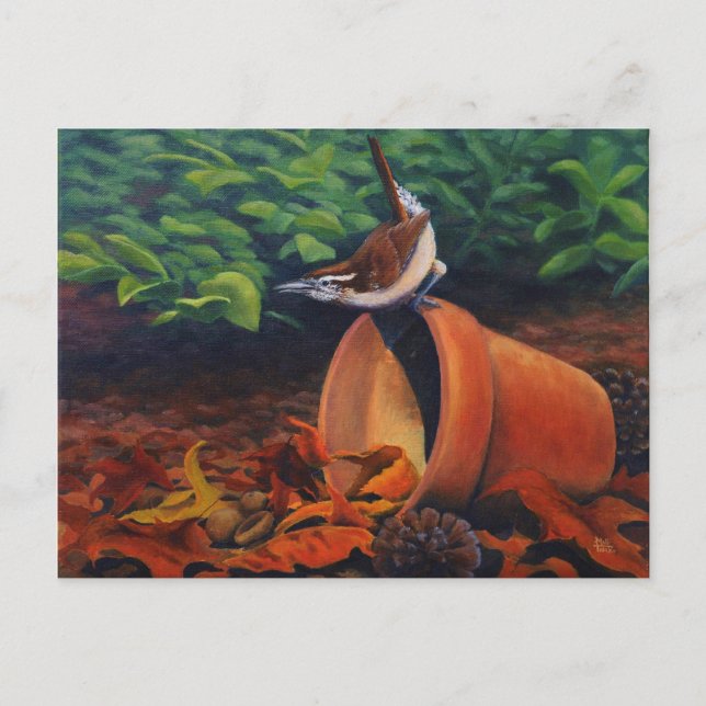 Carolina Wren Postcard (Front)