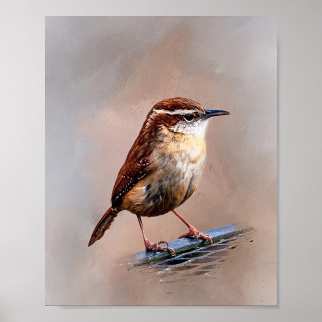 Carolina Wren Poster (Front)
