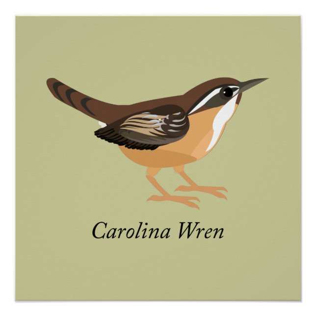 Carolina Wren Poster (Front)