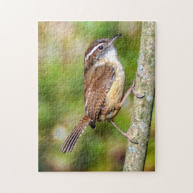 Carolina Wren Puzzle (Vertical)